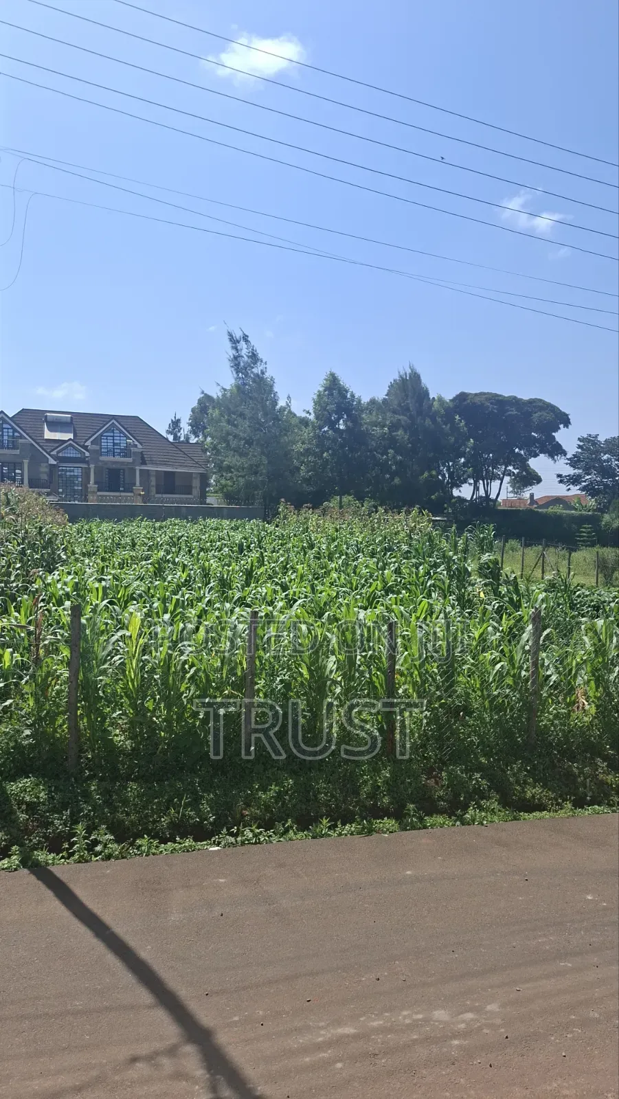 Plot for SALE