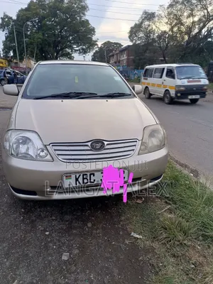 Toyota Corolla 2005 Gray