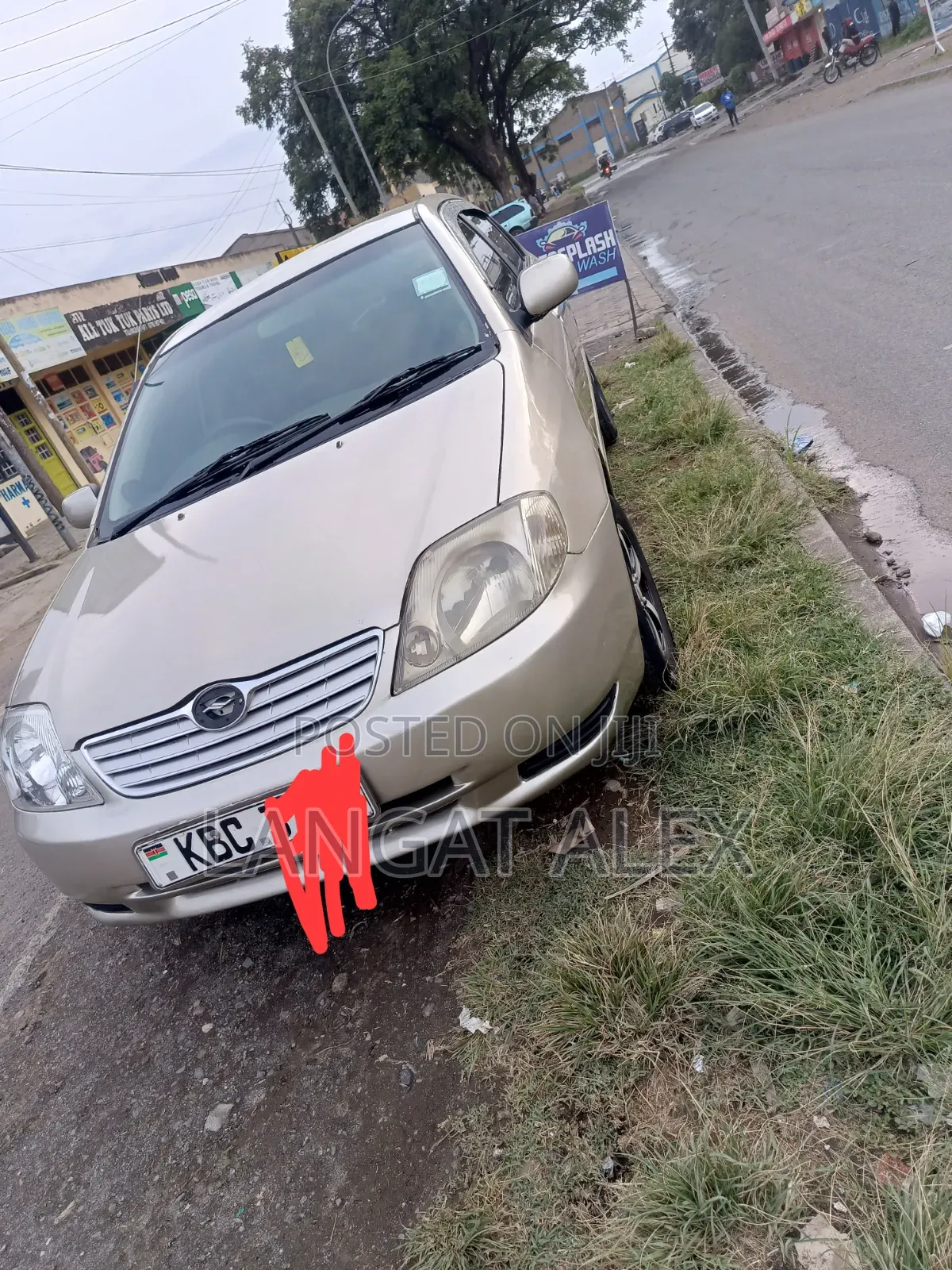 Toyota Corolla 2005 Gray