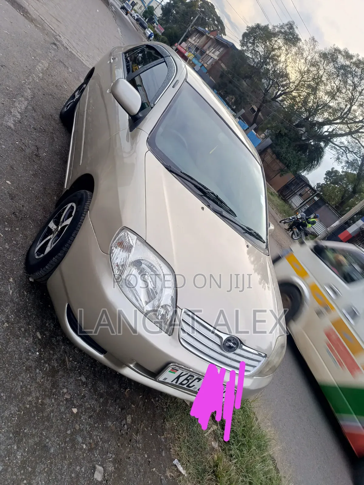 Toyota Corolla 2005 Gray