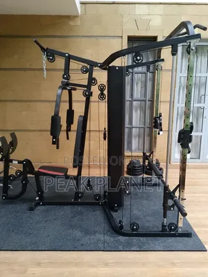 Professional Multifunctional Gym Station With Leg Press