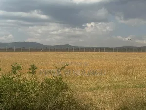 Nanyuki Near Ol Pejeta Conservancy-16 Acres, Title