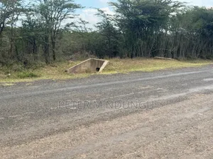 Nanyuki Near Ol Pejeta Conservancy-16 Acres, Title