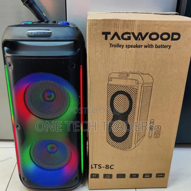 Tagwood Rechargeable Party Box With Microphone and Remote