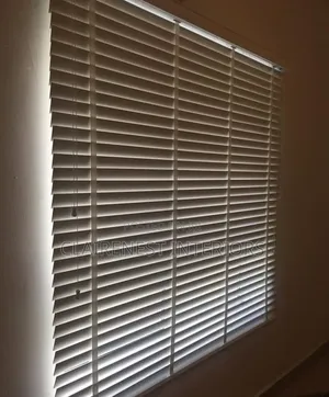 Make Every Window Shine With Horizontal Office Window Blinds