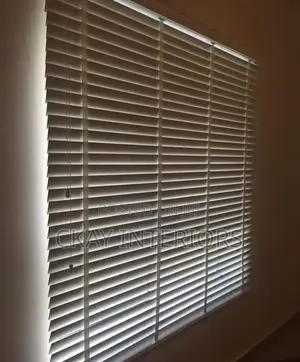 Make Every Window Shine With Horizontal Office Window Blinds