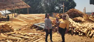 Roofing Timber and Ceiling Joist
