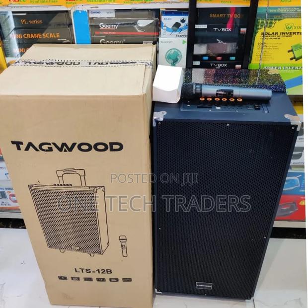 Tagwood 12"12B Rechargeable Portable Speaker,Double Built-in Speakers