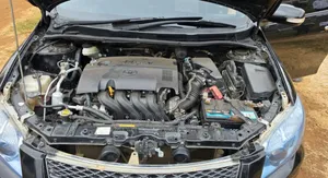 Toyota Corolla Fielder 2010 Black
