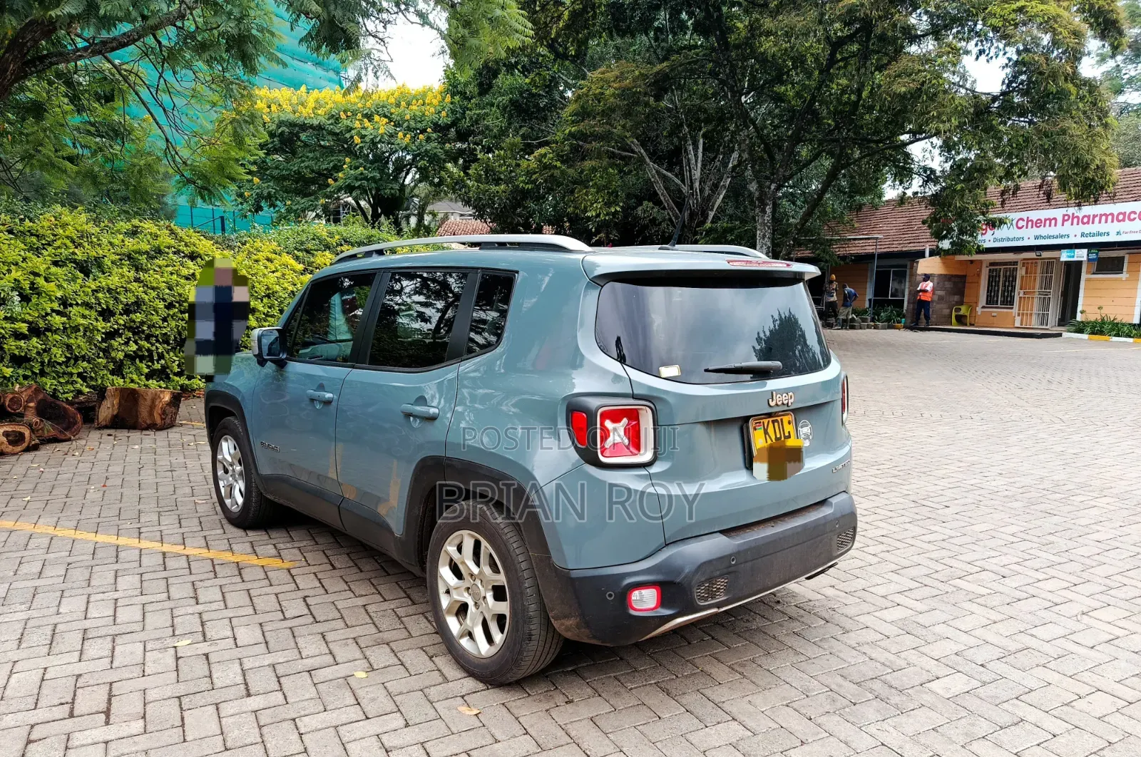 Jeep Renegade 2016 Blue