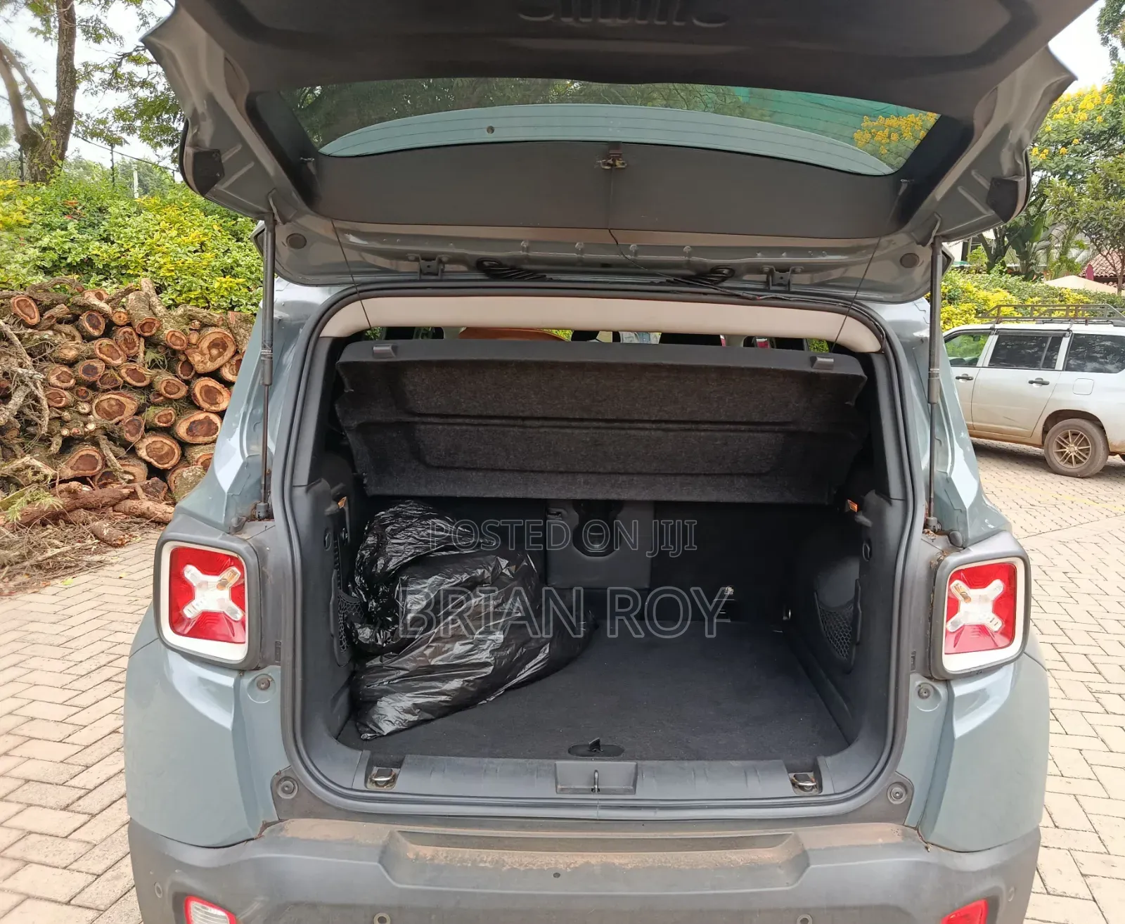 Jeep Renegade 2016 Blue