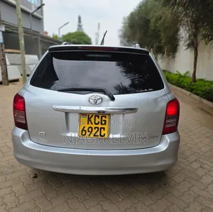 Toyota Corolla Fielder 2010 Silver