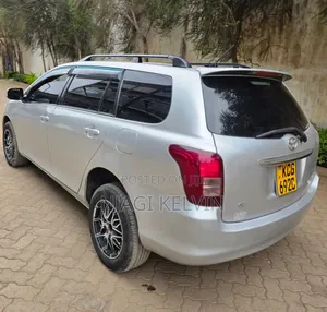 Toyota Corolla Fielder 2010 Silver