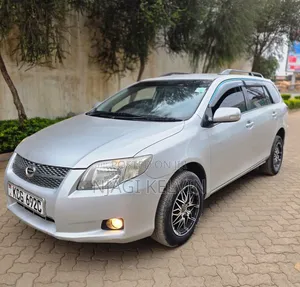 Toyota Corolla Fielder 2010 Silver