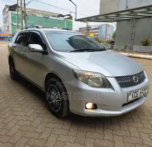 Toyota Corolla Fielder 2010 Silver