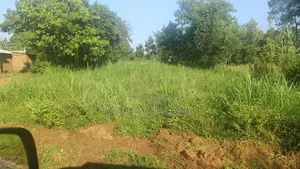Bungoma Musikoma Nambaya Market