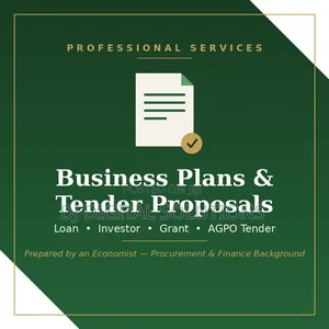 Business Plan, Feasibility Study,Tender Proposal Writing