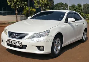 Toyota Mark X 2010 White