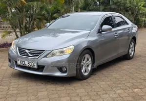 Toyota Mark X 2010 Blue
