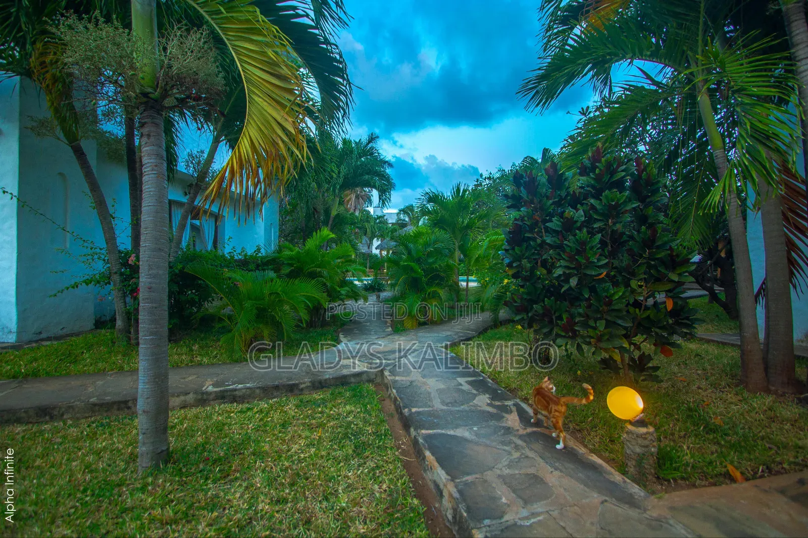 Furnished 2br Apartment Green Malindi/Swimming/Wifi/Parking/8minbeach