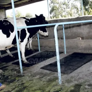 Cow Rubber Matress
