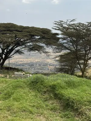 1/4 Acre Kibiku