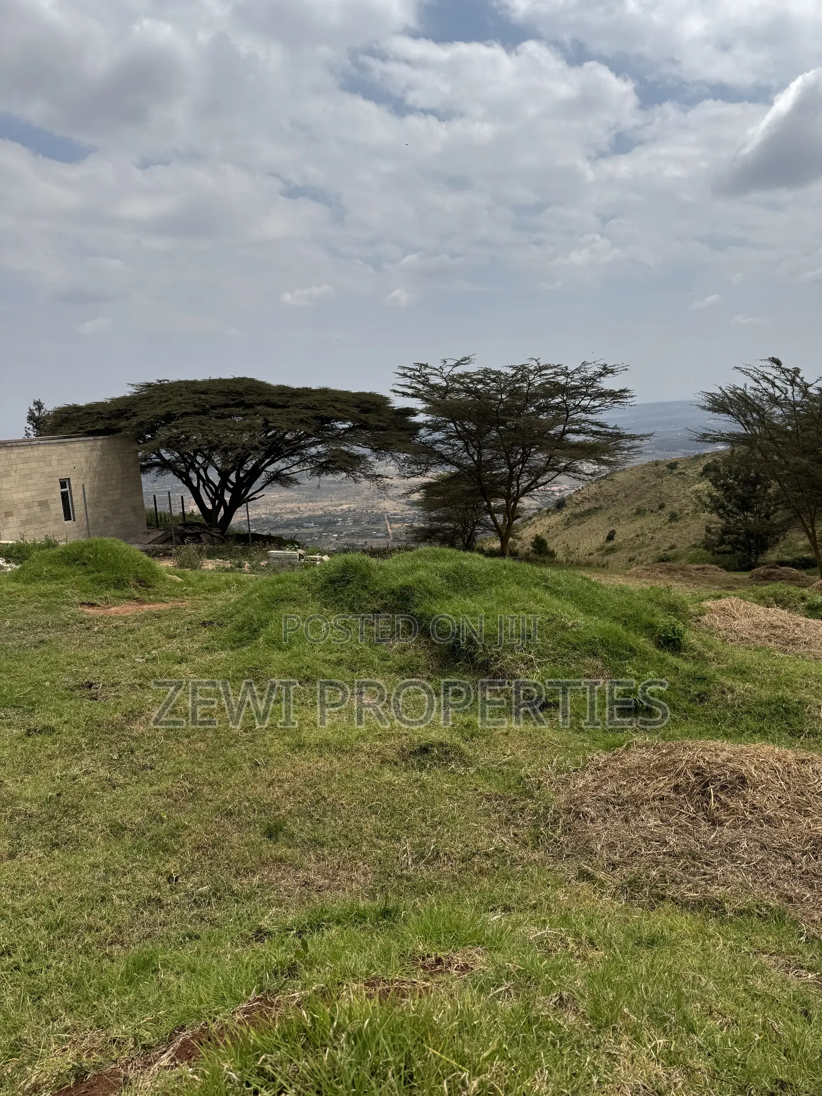 1/4 Acre Kibiku