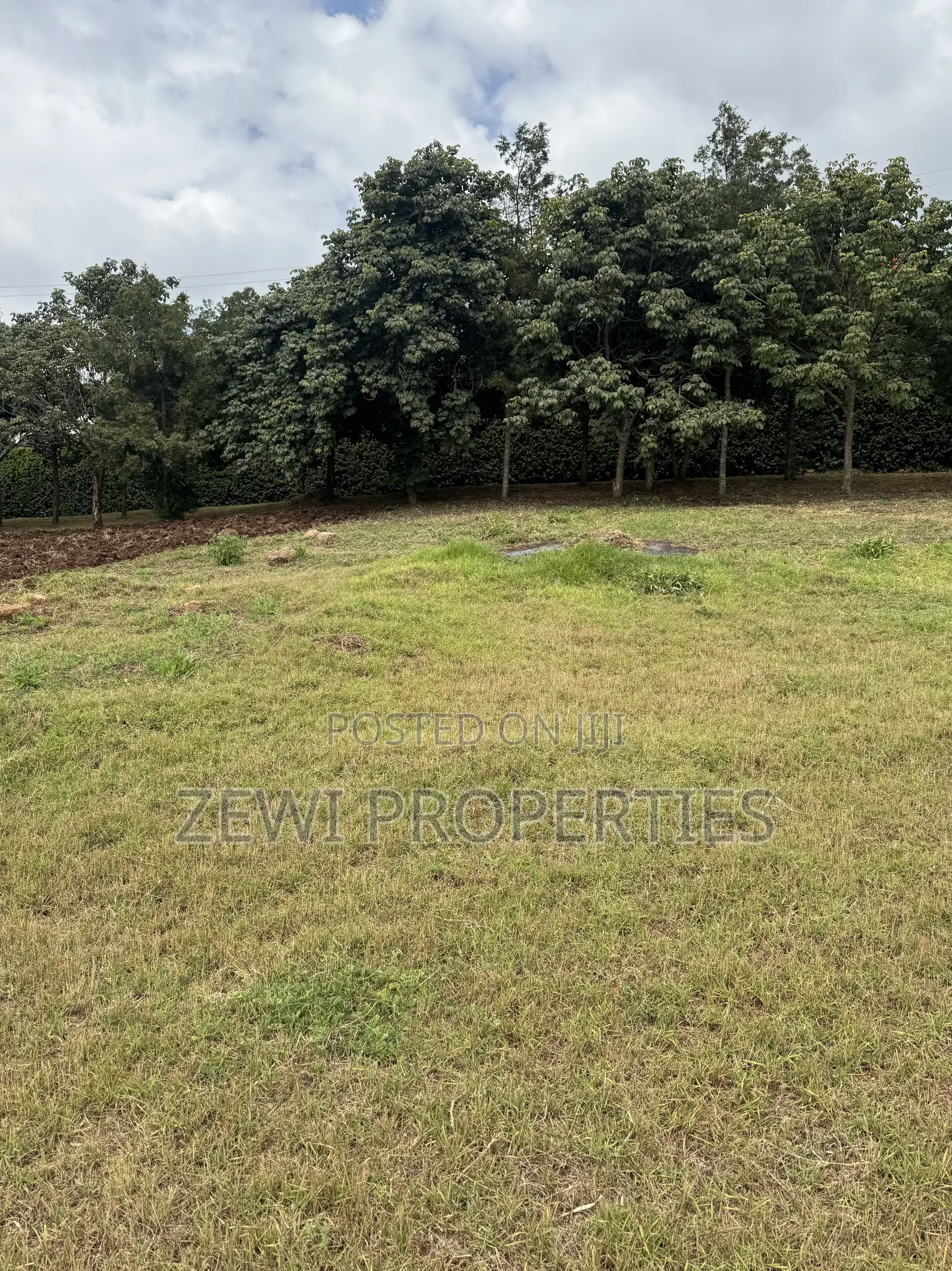 1/4 Acre Kibiku