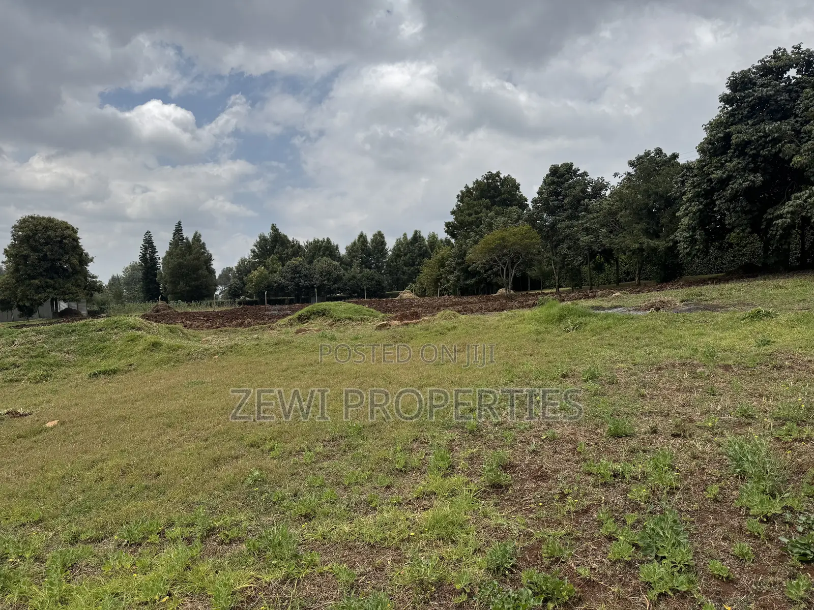 1/4 Acre Kibiku