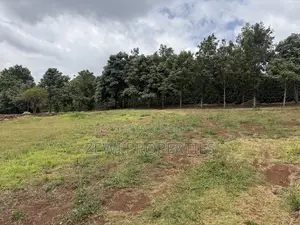 1/4 Acre Kibiku