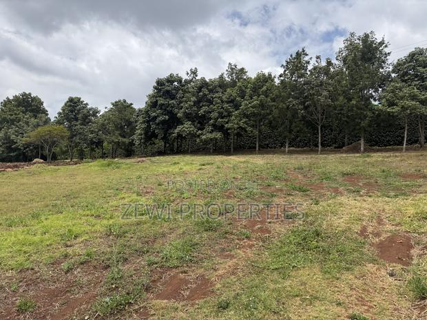 1/4 Acre Kibiku - thumbnail 2