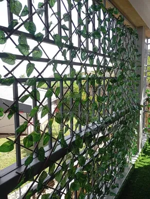Expandable Green Privacy Fence