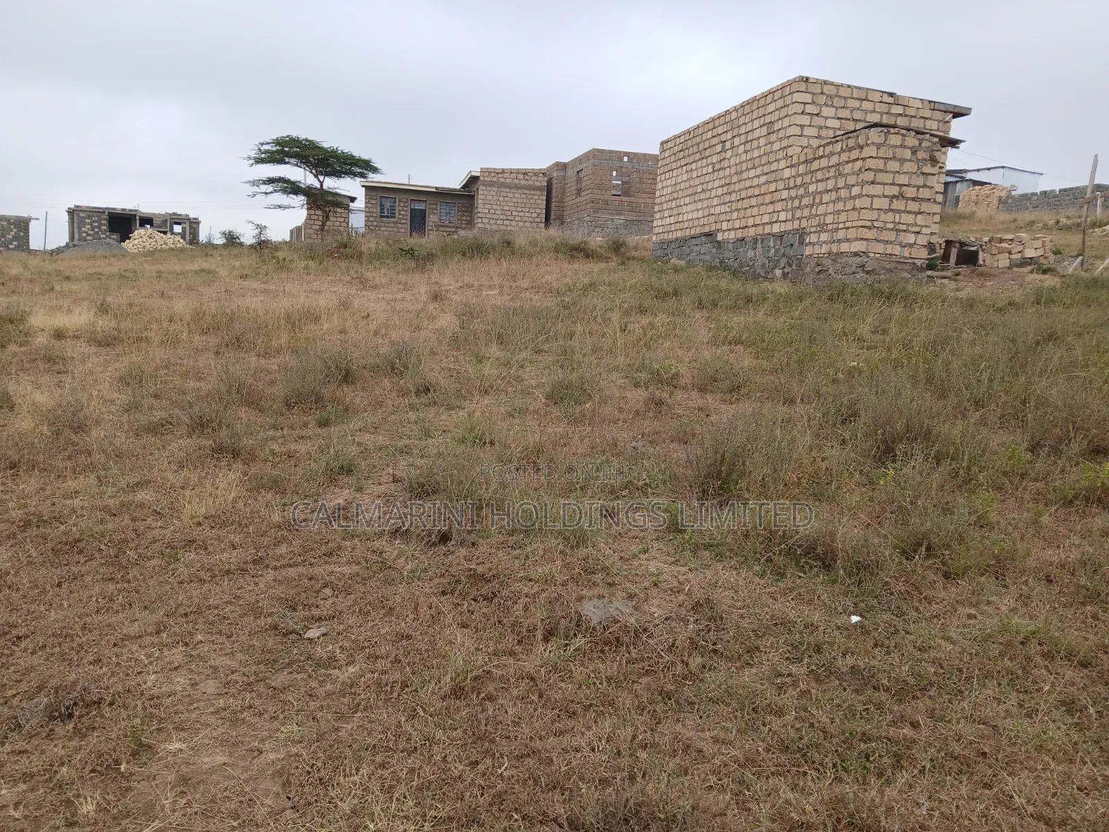Selling a Prime 40 by 42 Feet Plot in Kiserian, University Way