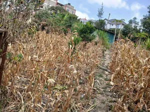 Very Prime Commercial Full 100 by 100 400 Metres Off Magadi Rd Tarmac