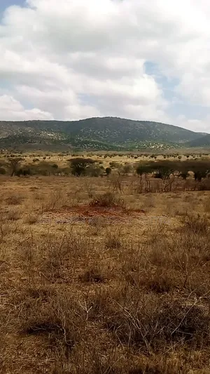 Prime 10 Acre Block of Land in Kajiado, Duka Moja