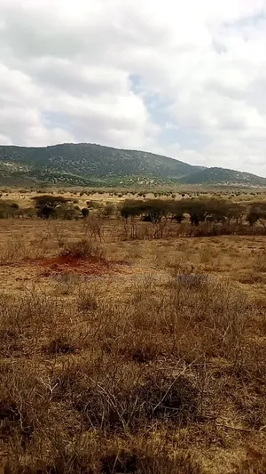 Prime 10 Acre Block of Land in Kajiado, Duka Moja