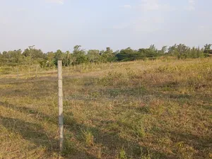 Full Prime Acre of Land for Sale in Oloirien, Ngarusa, Kiserian