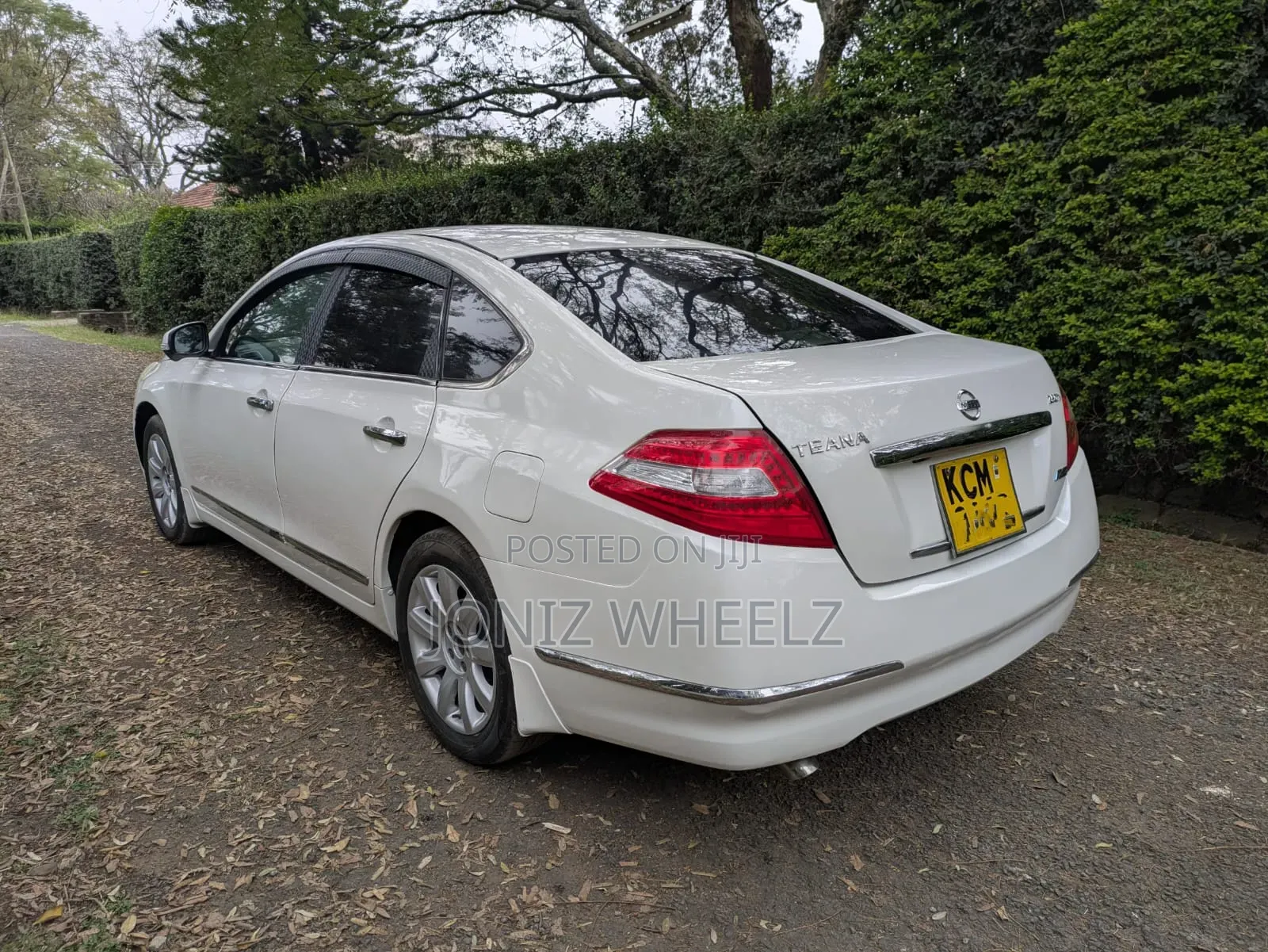 Nissan Teana 2010 White
