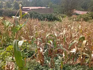 Thindigua 0.70-Acre Development Plot With Change of Use