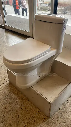 Kids Toilets