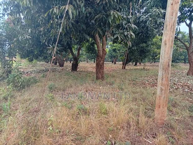Prime 2 Acres for Sale – Makuyu Pundamilia