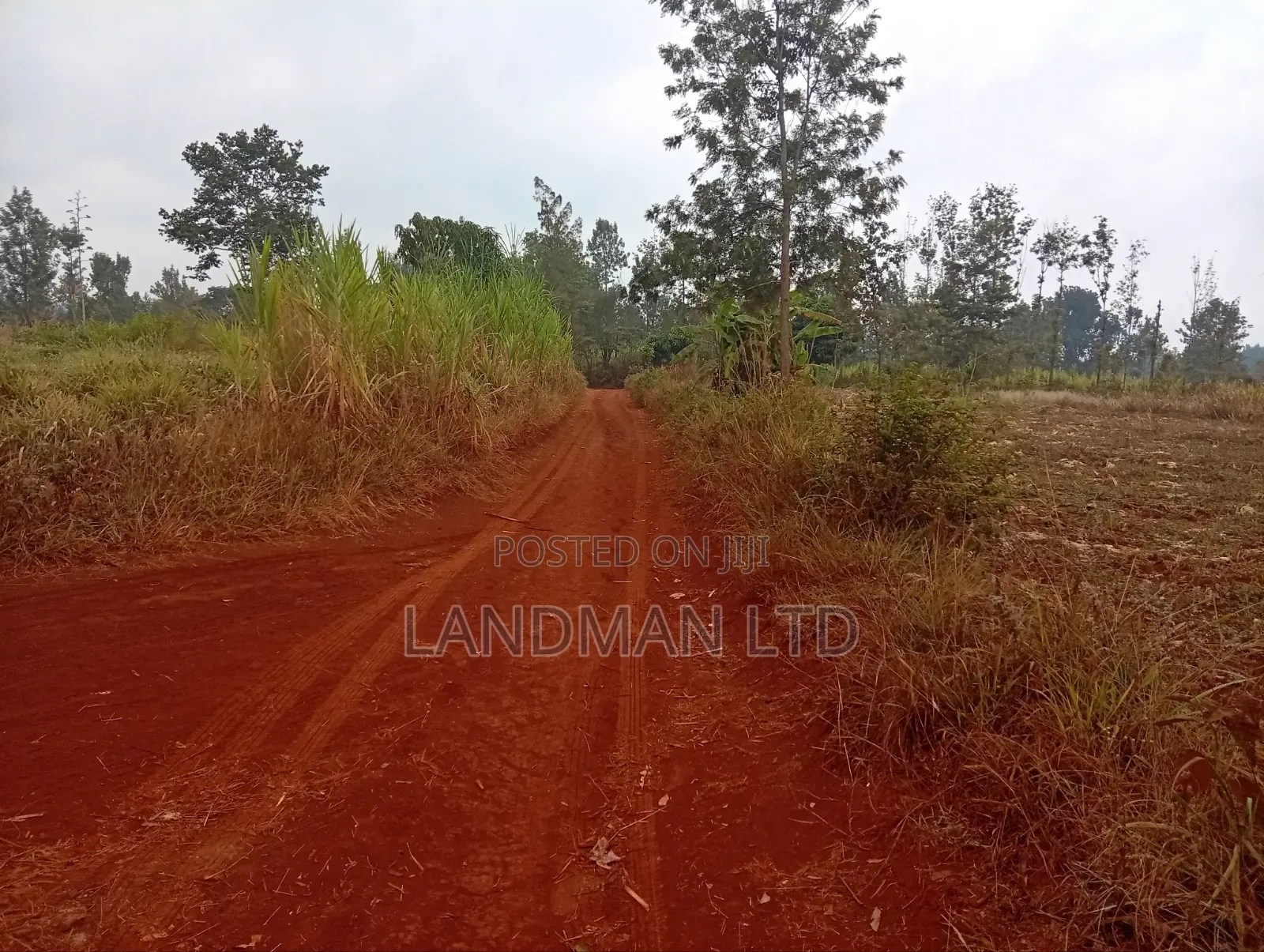 Prime 2 Acres for Sale – Makuyu Pundamilia