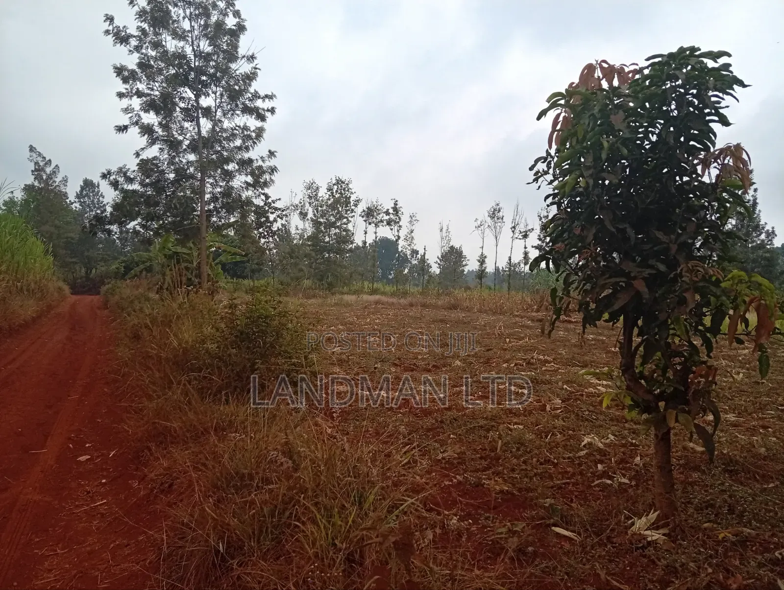 Prime 2 Acres for Sale – Makuyu Pundamilia