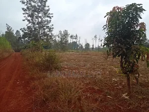 Prime 2 Acres for Sale – Makuyu Pundamilia