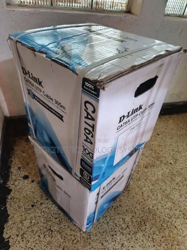 D-Link Cat 6a - main view