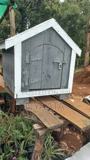 Dog House