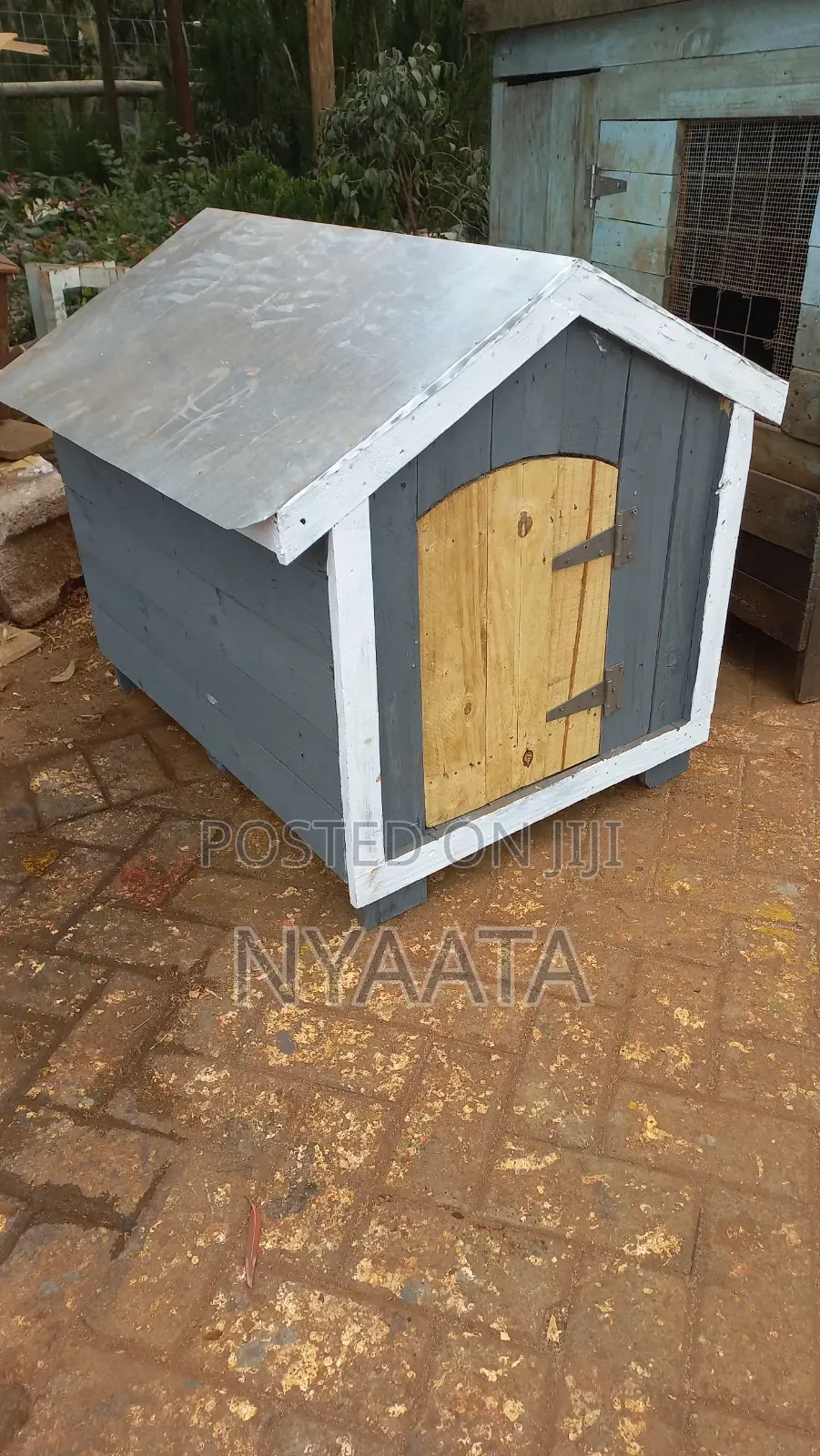 Dog House