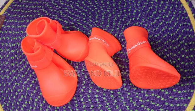Waterproof Dog Shoes - Small - main view
