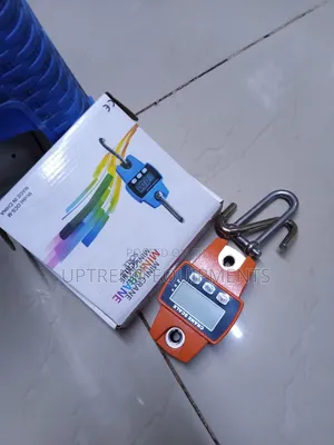 300kg Mini Crane Scale