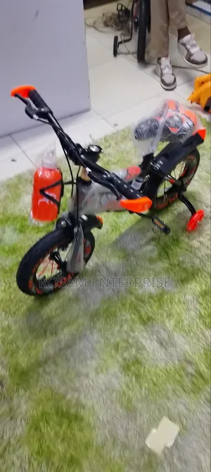 Beijing Bicycle 12" Kids Bicycle